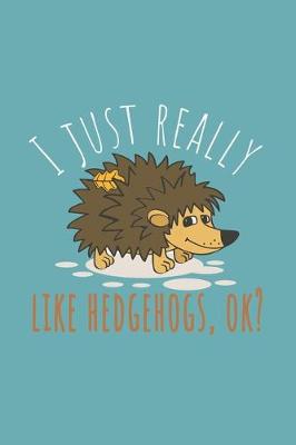 Book cover for I Just Really Like Hedgehogs, ok?