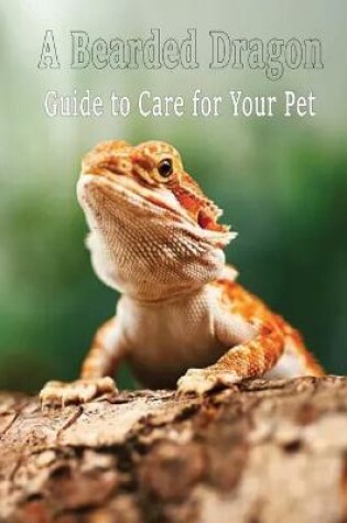 Cover of A Bearded Dragon