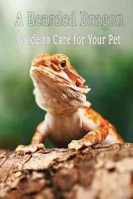 Book cover for A Bearded Dragon