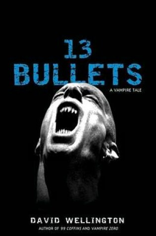 Cover of 13 Bullets