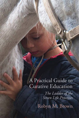 Book cover for A Practical Guide to Curative Education