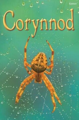 Cover of Cyfres Dechrau Da: Corynnod