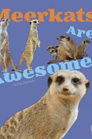 Cover of Meerkats are Awesome (Awesome African Animals!)