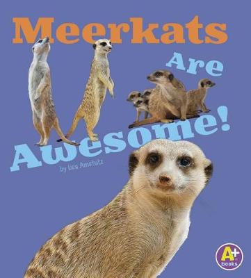 Book cover for Meerkats are Awesome (Awesome African Animals!)
