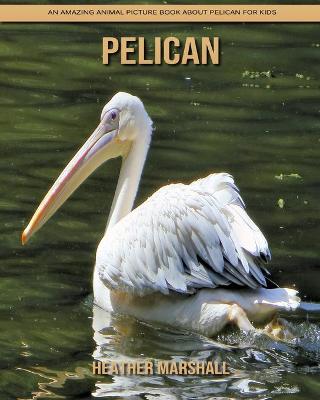 Book cover for Pelican