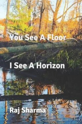 Cover of You See A Floor I See A Horizon