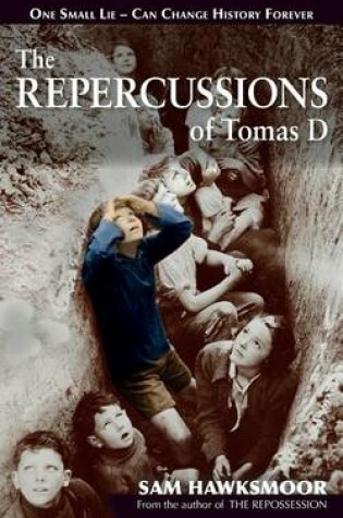 Cover of The Repercussions of Tomas D
