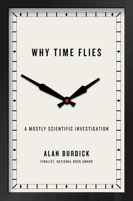 Book cover for Why Time Flies