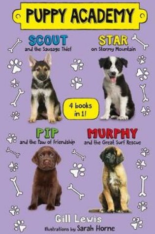 Cover of Puppy Academy Bindup Books 1-4: Scout and the Sausage Thief, Star on Stormy Mountain, Pip and the Paw of Friendship, Murphy and the Great Surf Rescue