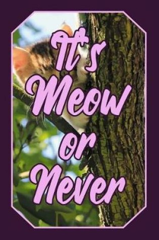 Cover of It's Meow or Never