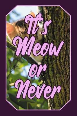 Book cover for It's Meow or Never