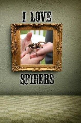 Cover of I Love Spiders