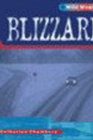 Cover of Wild Weather: Blizzard Paperback