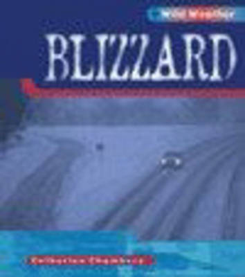 Book cover for Wild Weather: Blizzard Paperback