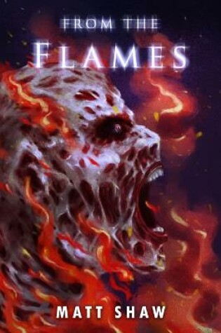 Cover of From The Flames