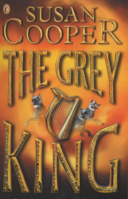 Book cover for The Grey King