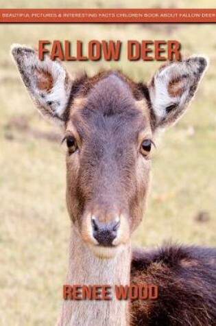 Cover of Fallow Deer