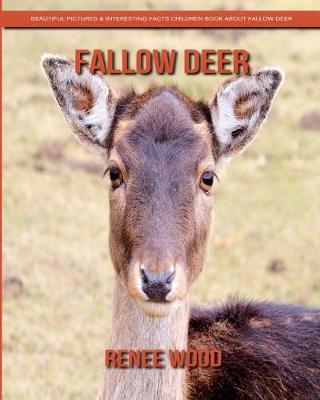 Book cover for Fallow Deer