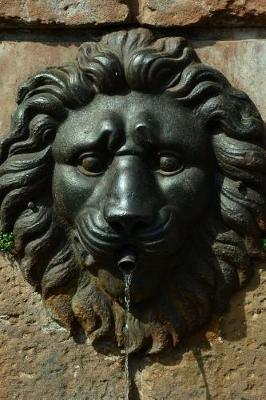 Book cover for Lion Head Fountain Journal