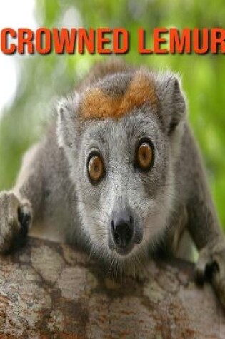 Cover of Crowned Lemur