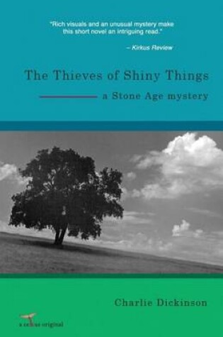 Cover of The Thieves of Shiny Things