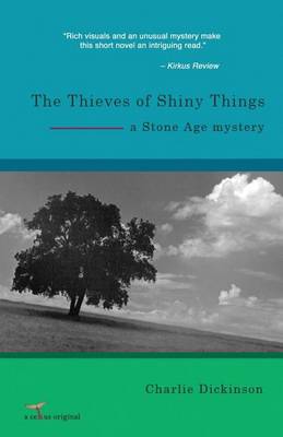 Book cover for The Thieves of Shiny Things