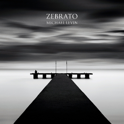 Book cover for Zebrato