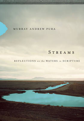 Book cover for Streams