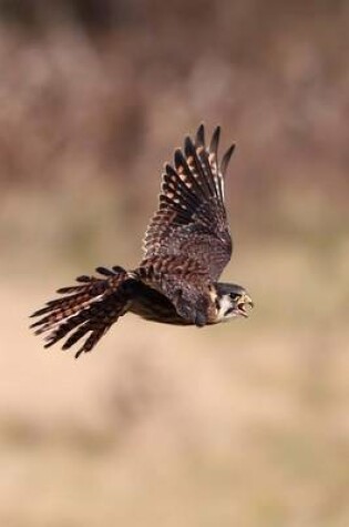 Cover of American Kestrel in Flight Journal