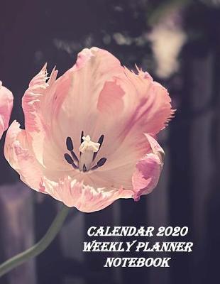 Book cover for Calendar 2020 Weekly Planner Notebook