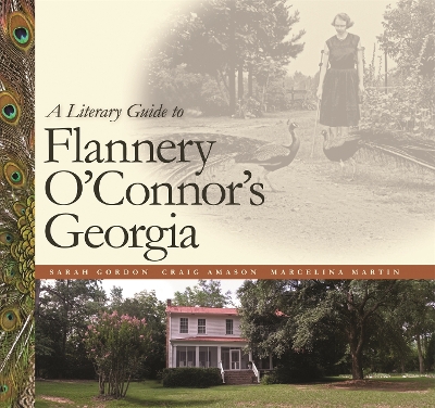 Book cover for A Literary Guide to Flannery O'Connor's Georgia