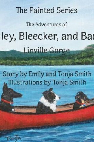 Cover of The Adventures of Bailey, Bleecker, and Banjo