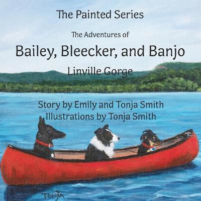 Book cover for The Adventures of Bailey, Bleecker, and Banjo
