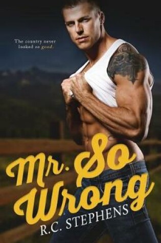 Cover of Mr. So Wrong