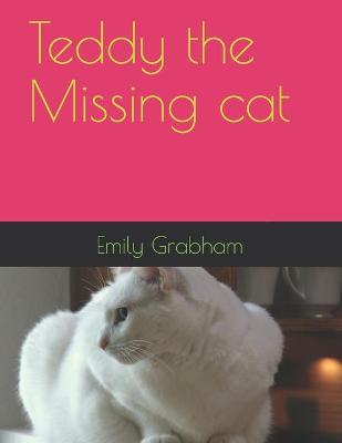 Book cover for Teddy the Missing cat