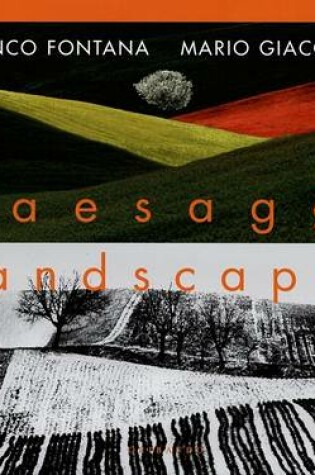 Cover of Paesaggi Landscapes