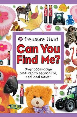Cover of Can You Find Me?