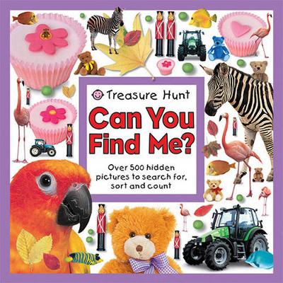 Book cover for Can You Find Me?