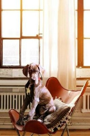 Cover of Dog On A Chair Notebook