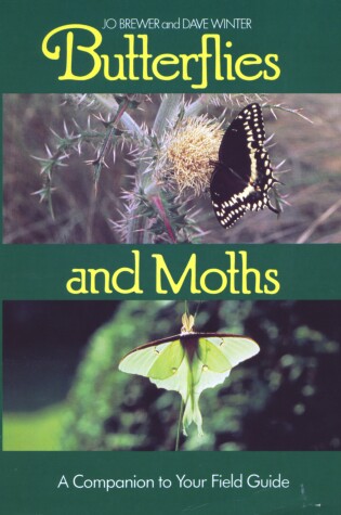 Cover of Butterflies and Moths