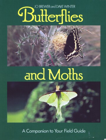 Book cover for Butterflies and Moths