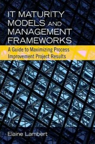 Cover of IT Maturity Models and Management Frameworks
