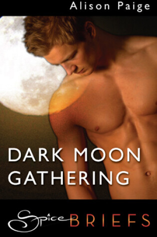 Cover of Dark Moon Gathering