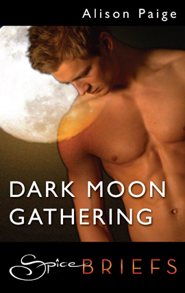 Book cover for Dark Moon Gathering