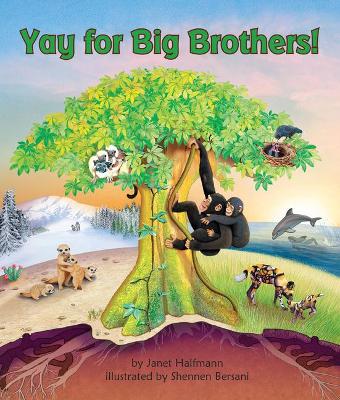 Book cover for Yay for Big Brothers!