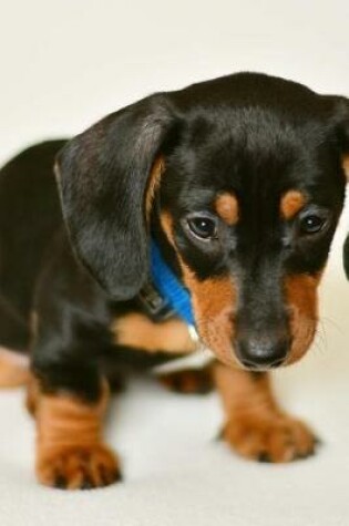 Cover of Floppy Eared Dachshund Puppy Dog Journal