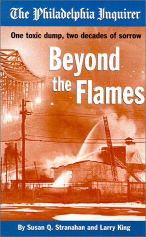 Book cover for Beyond the Flames