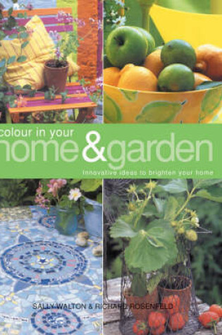Cover of Colour in Your Home and Garden