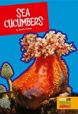 Book cover for Sea Cucumbers