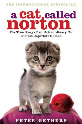 Cover of A Cat Called Norton